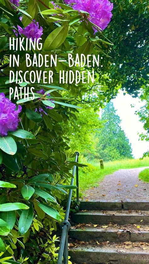 Hiking in Baden-Baden: Discover hidden paths | Ausflug, Wellnessurlaub, Schönste wanderwege