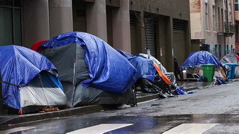 Fed up San Francisco residents forced to self-fund heavyweight planters ...