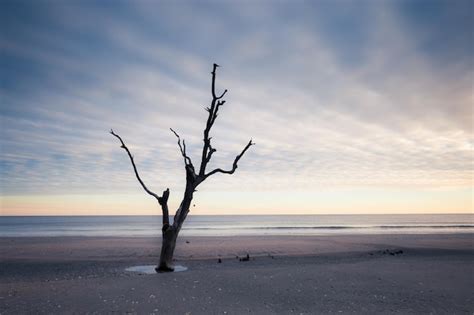 Premium Photo | Botany Bay beach