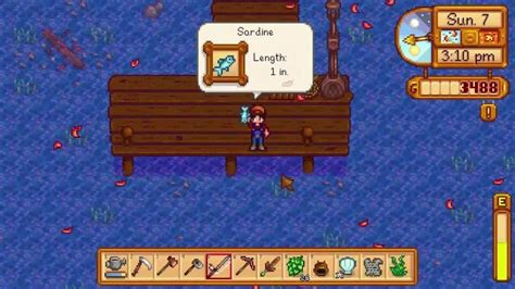 Sardine in Stardew Valley: How to catch & get it? (Location included ...