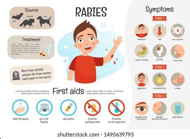 19,264 Rabies Images, Stock Photos & Vectors | Shutterstock