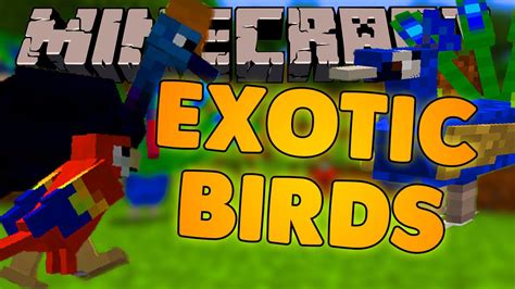 Exotic Birds Mod (1.19.2, 1.18.2) - Birds Take Over Minecraft - Mc-Mod.Net