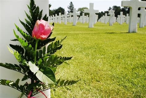 Free photo: Flower at grave - Army, Graveyard, Tombstone - Free Download - Jooinn