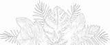 Tropical Leaves Coloring Pages sketch template