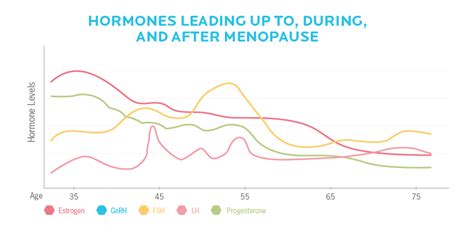 Six lifestyle strategies to feel your best during menopause - Club Towers