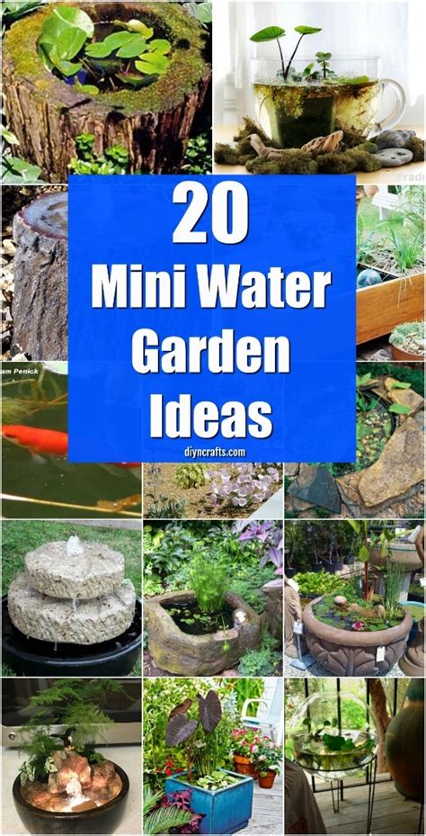 20 Charming And Cheap Mini Water Garden Ideas For Your Home And Garden - DIY & Crafts