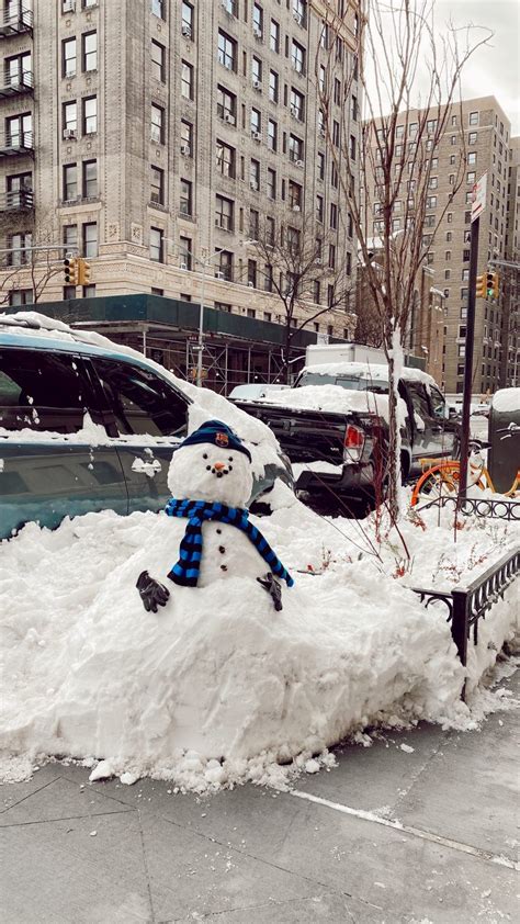 Snow days in nyc – Artofit