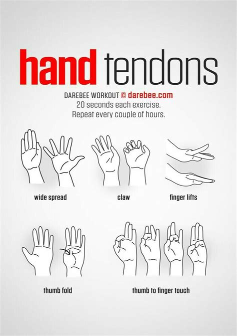 Hand tendon | Exercise, Wrist exercises, Climbing workout