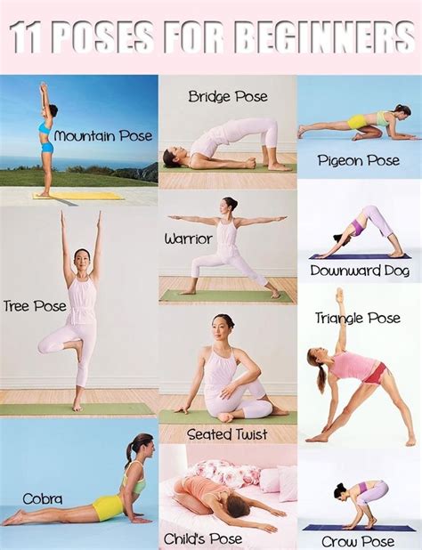 Yoga Beginner Poses | Eco-Savy
