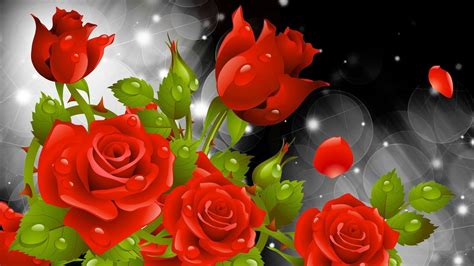 Red Rose Wallpapers Hd