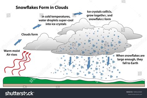 Snowflake Formation Science Diagram How Snow Stock Vector (Royalty Free) 1985644685 | Shutterstock