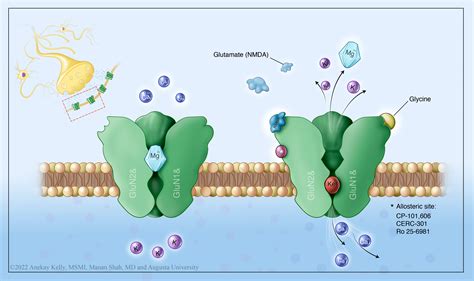 Cureus | Ketamine and Its Emergence in the Field of Neurology