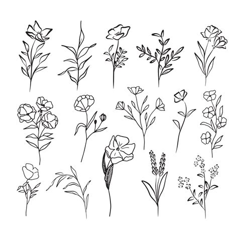 Outline flowers collection Vector graphics Flowers drawing sketch outline Floral botany ...