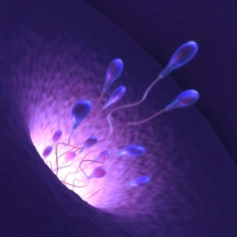 Anovulation And Infertility: How anovulation can affect your menstrual cycle