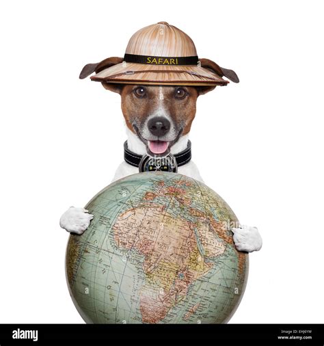 Funny map compass hi-res stock photography and images - Alamy