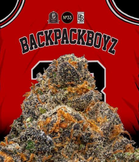 Backpack Boyz: Growing the Weed Strains You Dream Of | America Daily Post