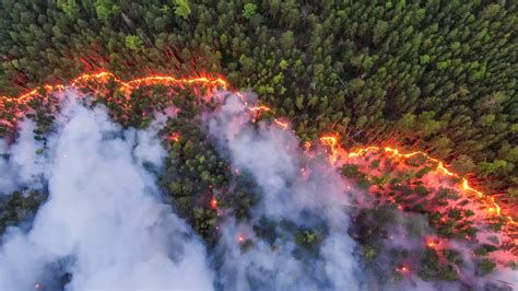 Wildfires rage across Siberia -- "An aerial view shows a forest fire in Krasnoyarsk Region ...