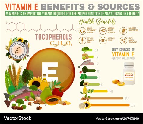 Vitamin e benefits Royalty Free Vector Image - VectorStock