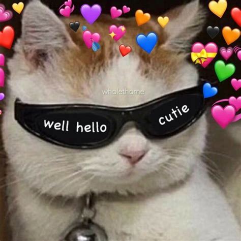 √ Cat Reaction Meme Wholesome Cat Heart Meme Recommendation - News ...