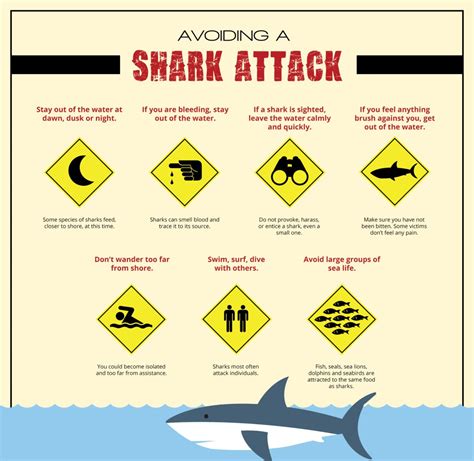 Avoiding A Shark Attack [Infographic]