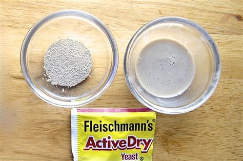 Active dry yeast | King Arthur Baking