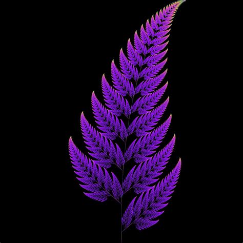 FERN FRACTAL by CorazondeDios on DeviantArt