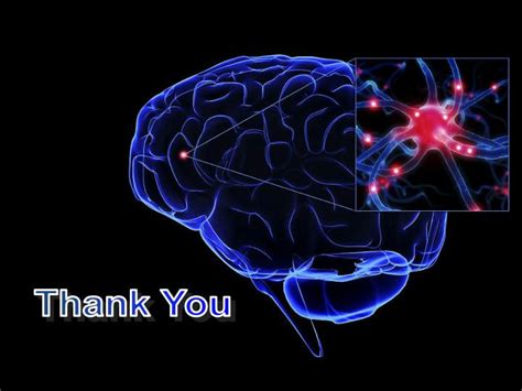 PPT - Inducing and Measuring Brain Plasticity Associated with Aphasia ...