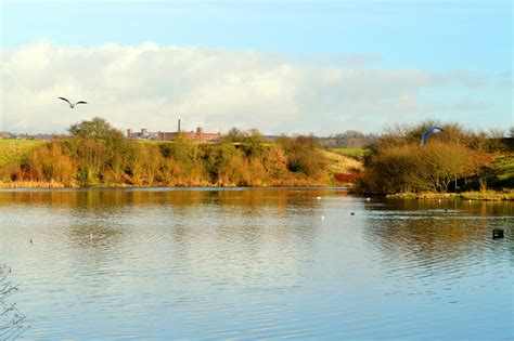 Daisy Nook Country Park in Manchester - Enjoy Leisure Activities in an Expansive Green Space ...