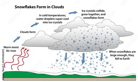 Snowflake formation in a science diagram. How snow forms into flakes as warm air rises and ...