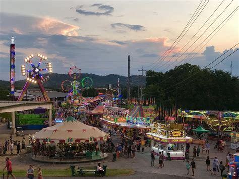 In-Person Williamson County Fair Canceled for 2020 - Steps to Move Forward - yourwilliamson.com