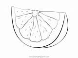 Grapefruit Slice Coloring Page For Kids  Free Printable sketch template