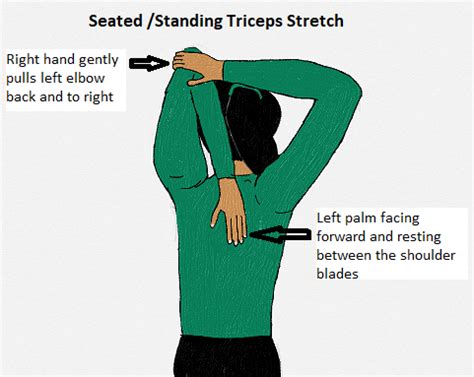 Triceps Stretch - StableMovement Physical Therapy