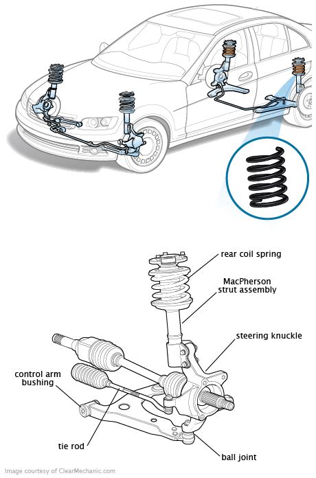 Rear Coil Spring