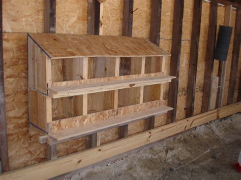 21 DIY Nesting Box Plans and Ideas You Can Build in One Day