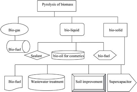 Possible products of biomass pyrolysis and their applications ...