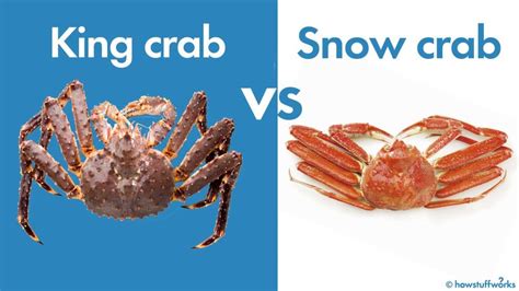 What's the Difference Between Snow Crab and King Crab? | HowStuffWorks