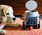 Arduino and Raspberry Pi Powered Pet Monitoring System - jpralves.net