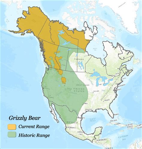 Grizzly Bear Habitat