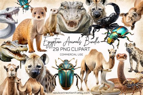 Animals of Egypt PNG Clipart, Desert Animals Bundle, Camel, Сrocodile ...