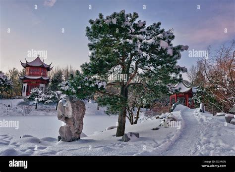 Montreal Botanical garden at dusk in winter, Jardin Botanique de ...