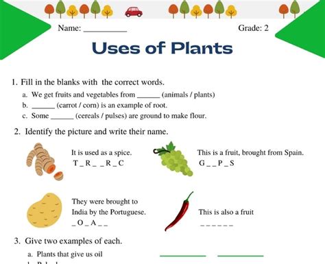 2Nd Grade Science Worksheets For Grade 2 Plants - Life Cycle Of Plants Worksheets K5 Learning ...