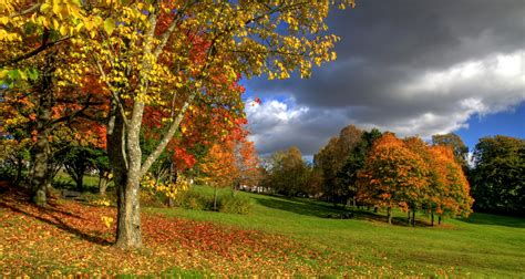 Strathclyde Country Park | Flickr