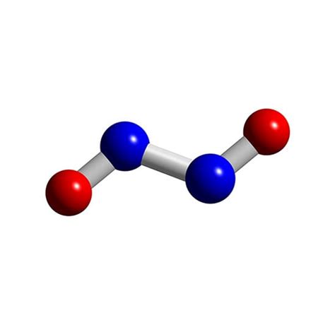 [N2O2]2- - Hyponitrite