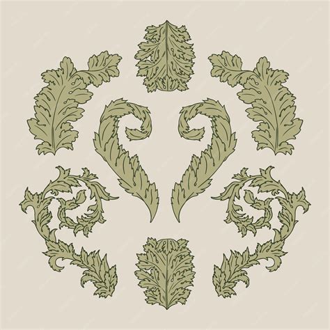 Premium Vector | Acanthus Leaves