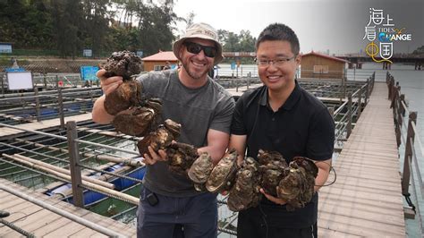 Live: A peek at China's largest oyster farm - YouTube