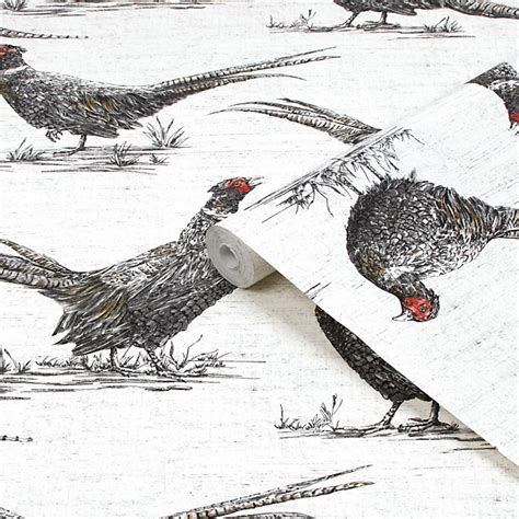 Contour Multicolour Pheasant Smooth Wallpaper Sample | DIY at B&Q