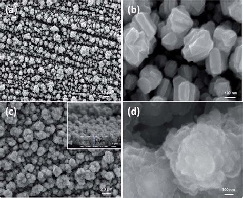 (a and b) SEM images of the 3D nano-Ni particles; (c and d) Ni(OH) 2 ...