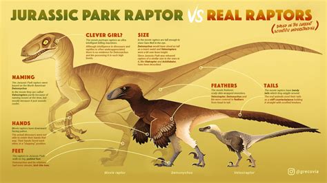 Velociraptor Feathered 2020 version Deinonychus Raptor Dinosaur Papo ...