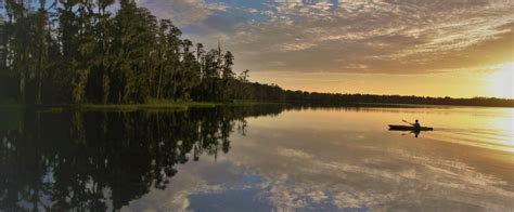 Lake Louisa State Park | Florida State Parks