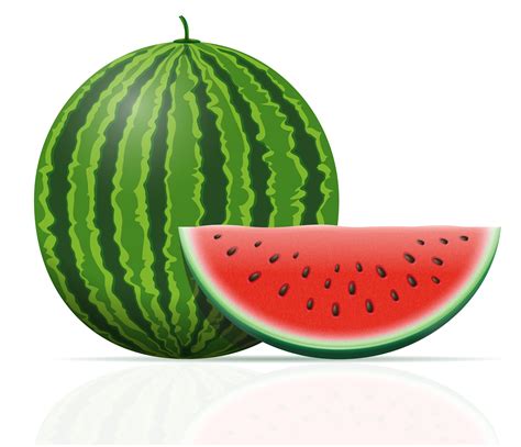 watermelon ripe juicy vector illustration 493045 Vector Art at Vecteezy